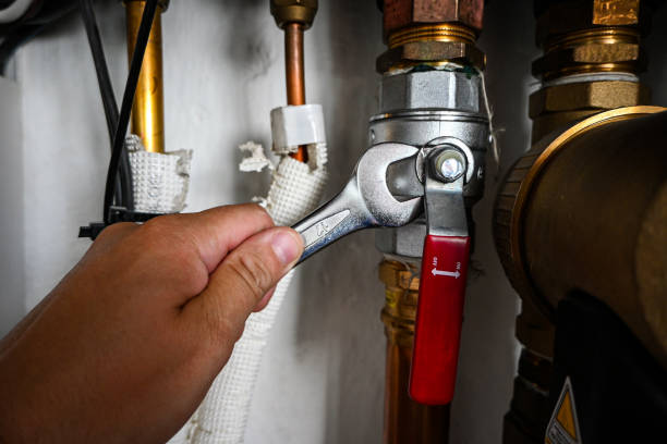 Best Plumbing Inspection Services  in Palmer, TX
